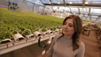 Công nghệ trồng rau của Israel
