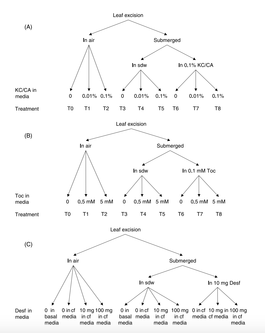 Cac-buoc-đieu-tri-voi-ba-chat-chong-oxy-hoa.png