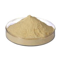 MUA PEPTONE Ở ĐÂU?