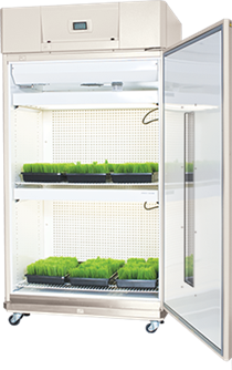 Tủ Vi Khí Hậu, Tủ Tăng Trưởng Thực Vật, Plant Growth Chamber