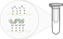 PHƯƠNG PHÁP TÁCH CHIẾT DNA/RNA