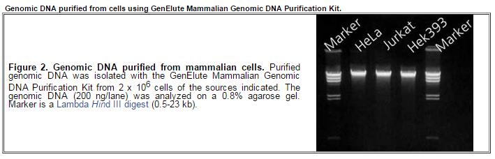 Kit-tinh-sach-DNA-GenElute-(1).png