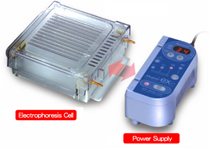 MÁY ĐIỆN DI NGANG- MÁY ĐIỆN DI ĐỨNG