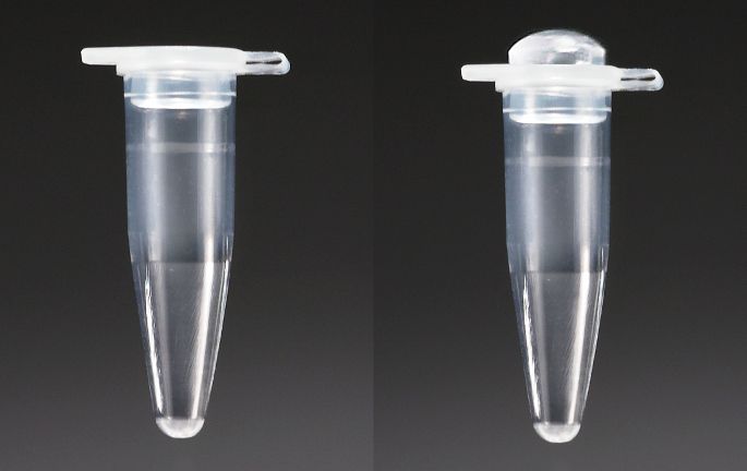 ong-eppendorf.jpg ong-eppendorf.jpg
