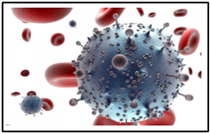 Khám phá ra nguồn gốc căn bệnh thế kỷ HIV
