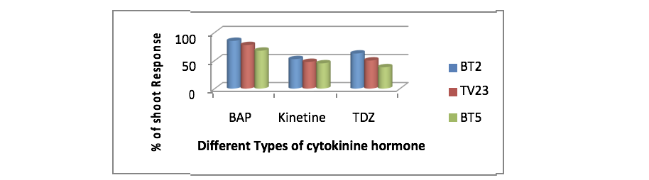 Anh-huong-cytokinin-khac-nhau-len-hinh-thanh-choi-cay-che.png
