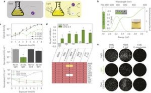 light-activated-nanoparticles.jpg