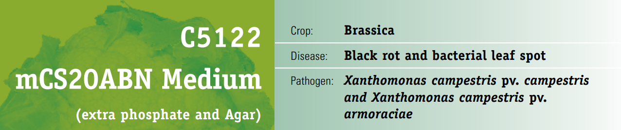 moi-truong-kiem-nghiem-benh-ly-thuc-vat-mCS20ABN.PNG