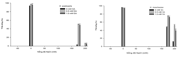 hinh-2a-nuoi-cay-mo-hibiscus.png
