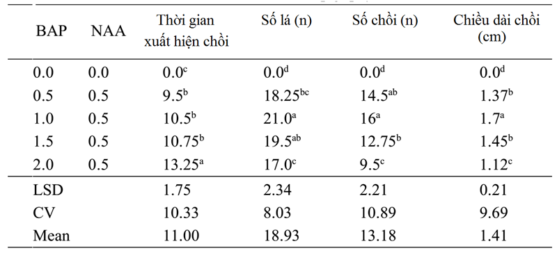 bang-1-nhan-giong-invitro-cay-du-du.png