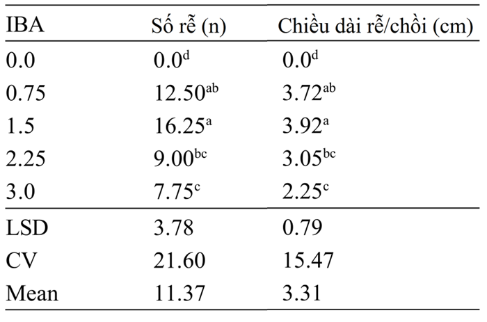 bang-2-nhan-giong-invitro-cay-du-du.png