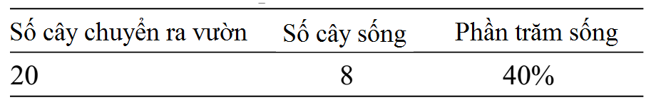 bang-3-nhan-giong-invitro-cay-du-du.png