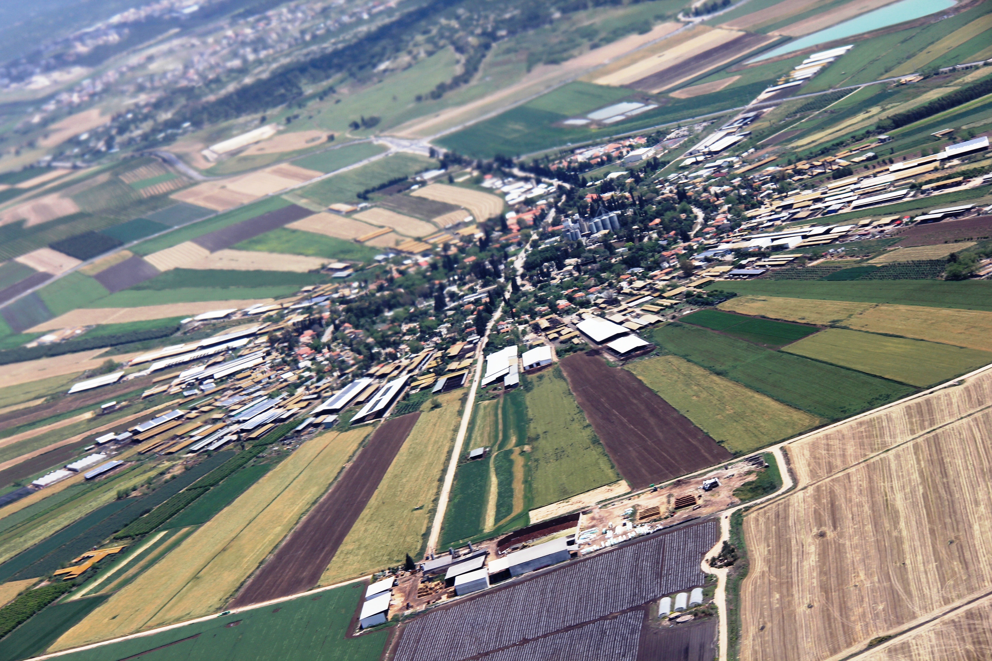 Jezreel-Israel-canh-dong.jpg