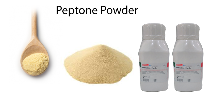 peptone-powder-banner.png
