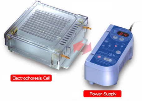 may-đien-di-electrophoresis-equipment-(1).jpg