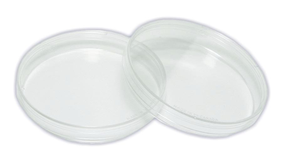 đia-Petri-Petri-Dish-(1).jpg