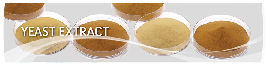 Yeast-Extracts-Banner.png
