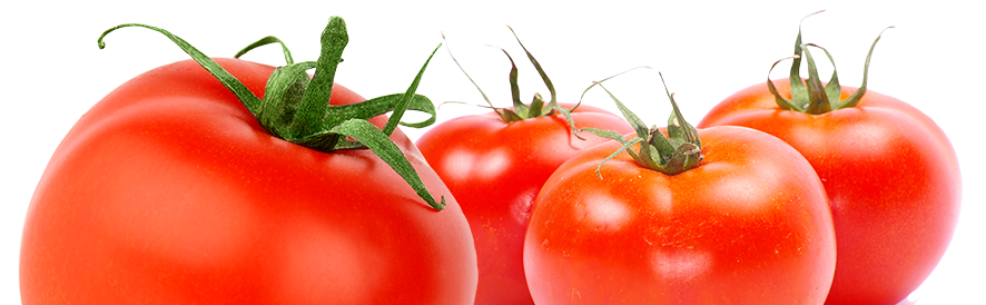 lycopene-tu-qua-ca-chua.png