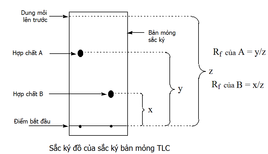 TLC-sac-ky-ban-mong.gif