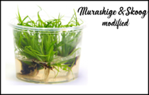 Môi trường MS chỉnh sửa modified- Murashige and Skoog modified
