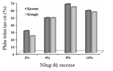 nong-đo-sucrose-khoai-yam.PNG